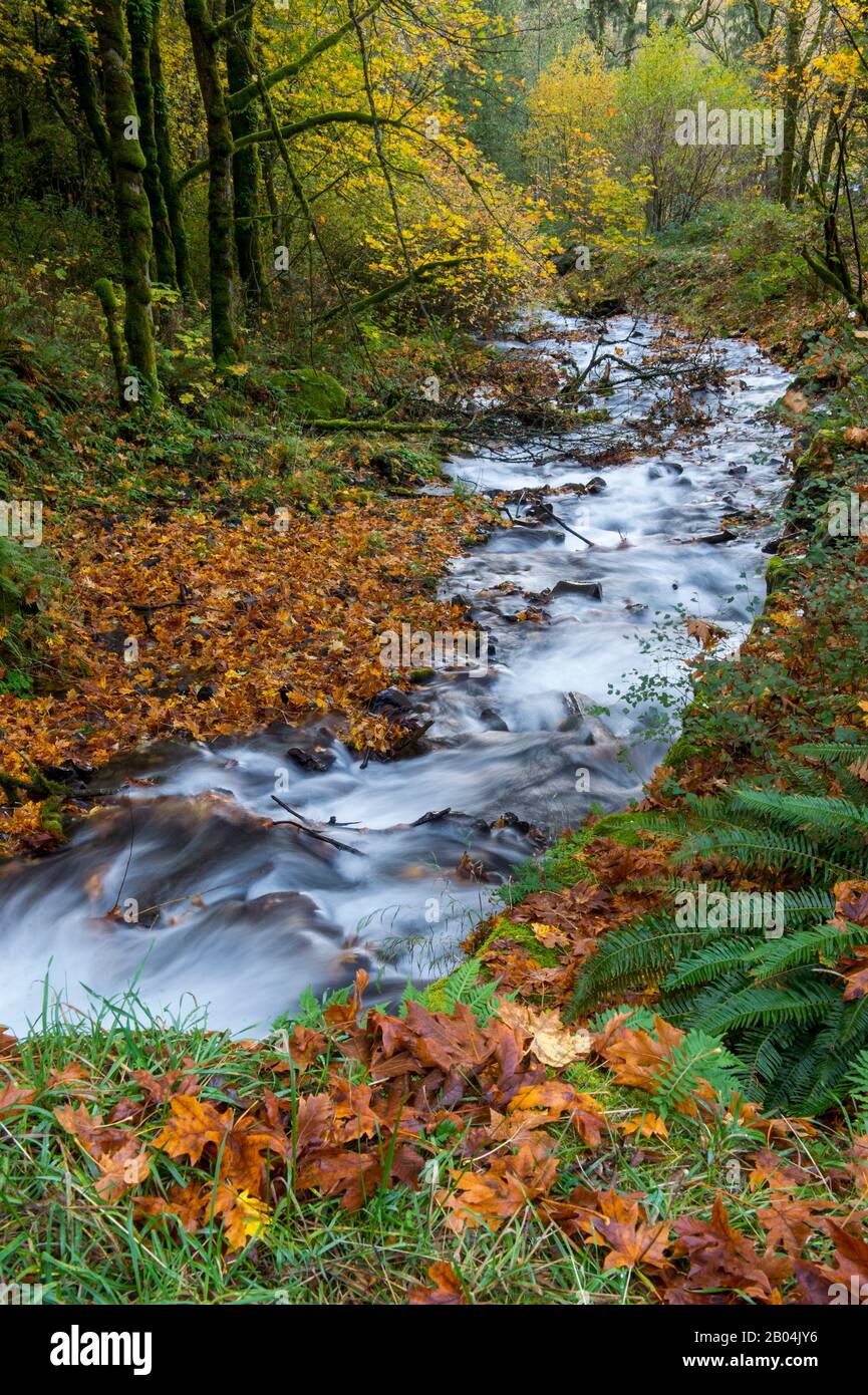 Creek at Wahkeena Falls in the Columbia River Gorge near Portland in the state of Oregon, USA. Stock Photo