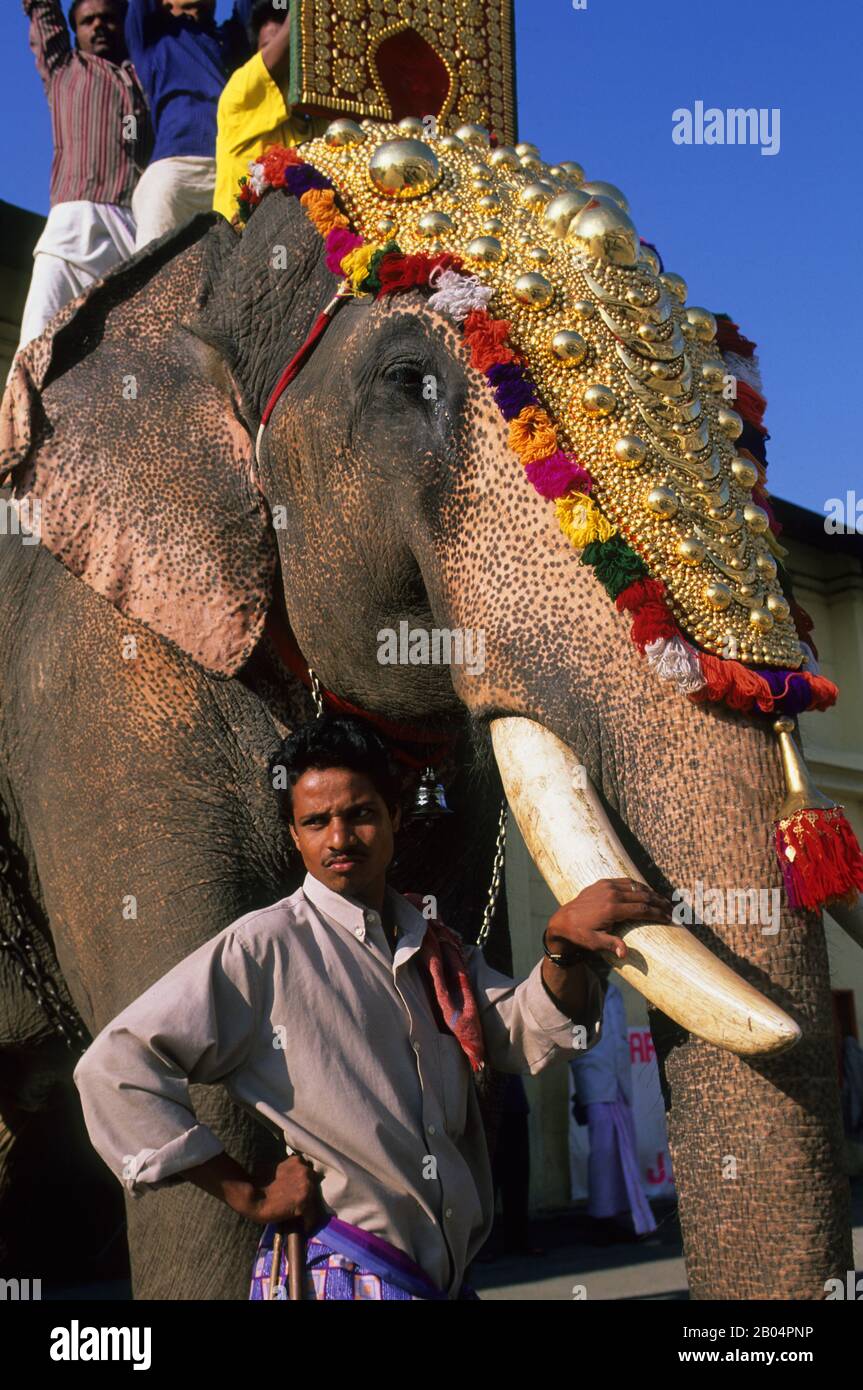 Elephant Welcome Ritual Welcome by elephant india hi-res stock photography and images - Alamy