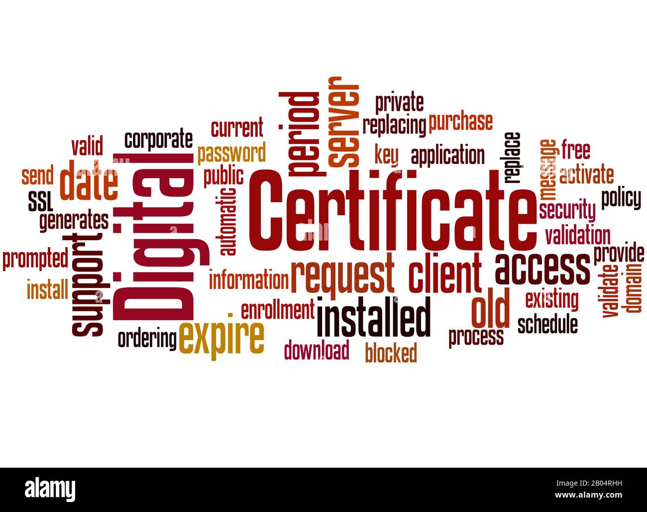Digital certificate word cloud concept on white background. Stock Photo