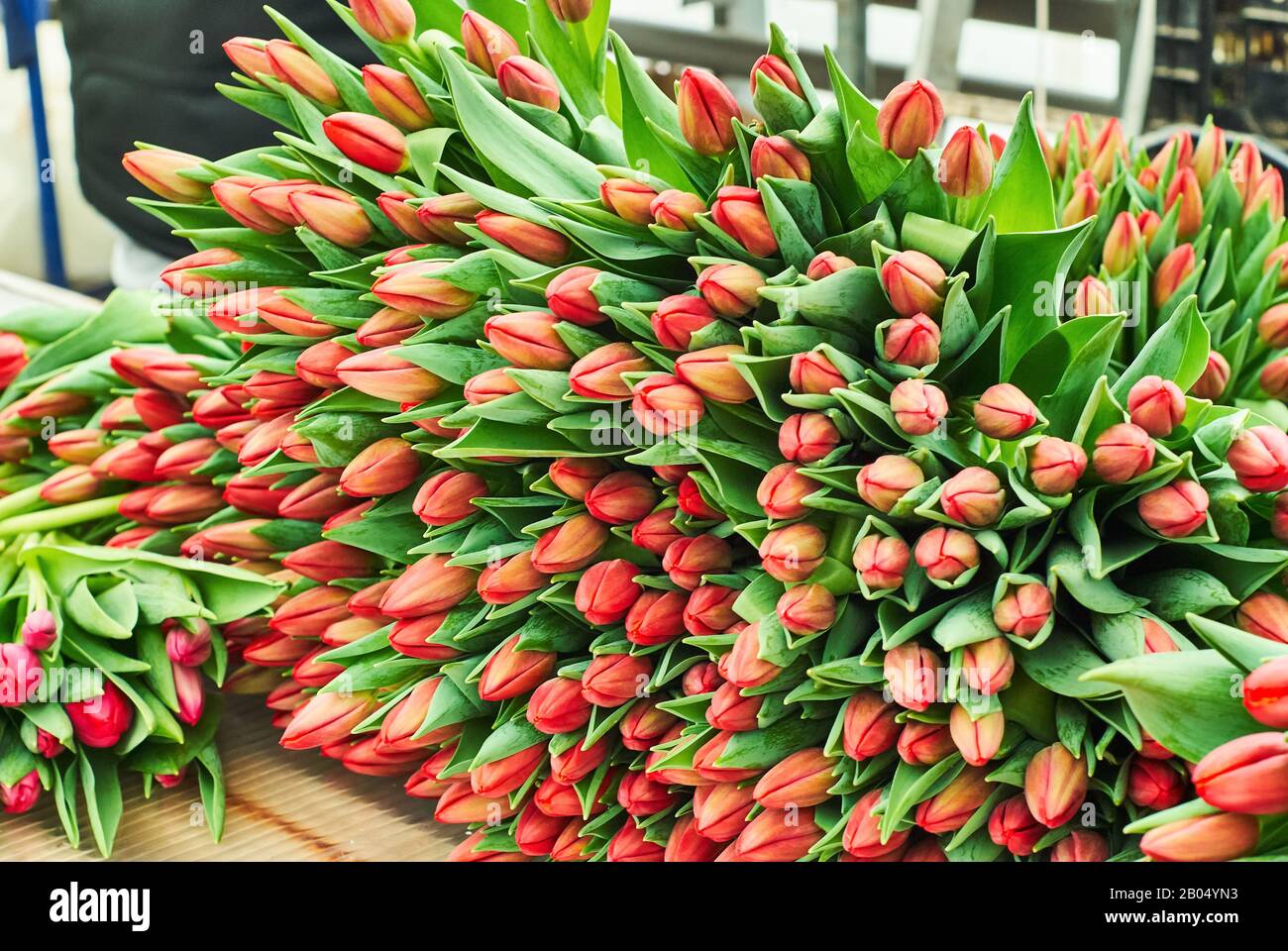 bouquets of freshly cut tulips for sale are on the counter of the