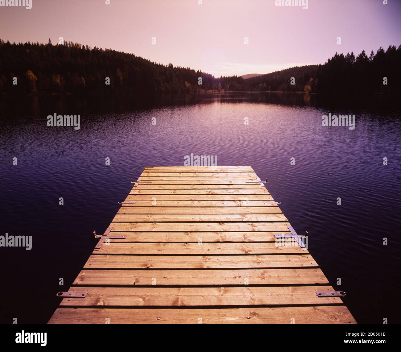 Pier on a lake, Northern Black Forest Region, Baden-Wurttemberg, Germany Stock Photo
