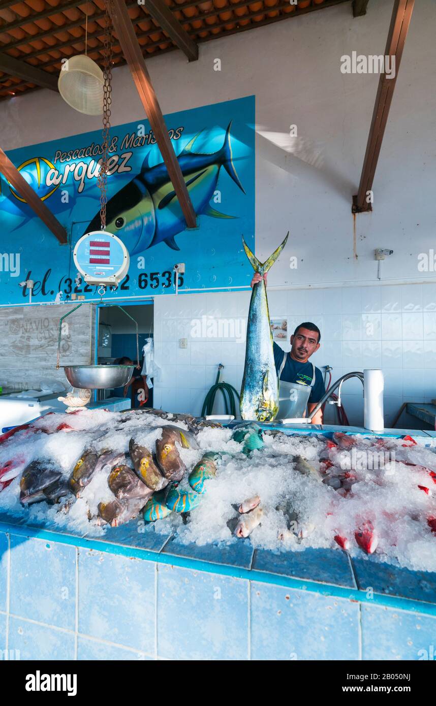 Mercado del Mar fishing market, Fishing Harbour, La Cruz de Huanacaxtle