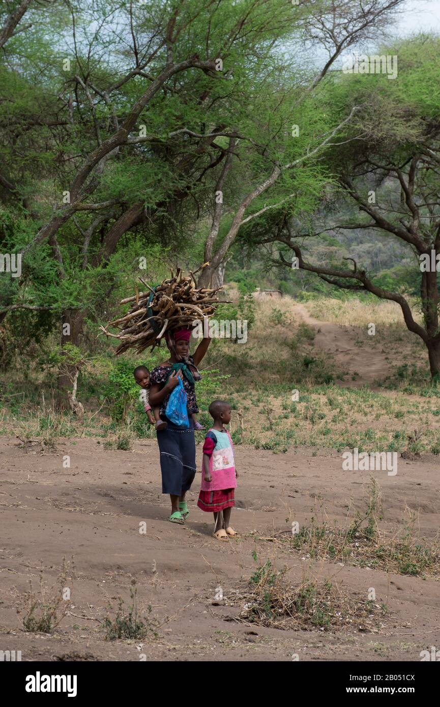 Africa Burkina Fasoview Of Overloaded African Vehicle Carrying Firewood  Logs High-Res Stock Photo - Getty Images