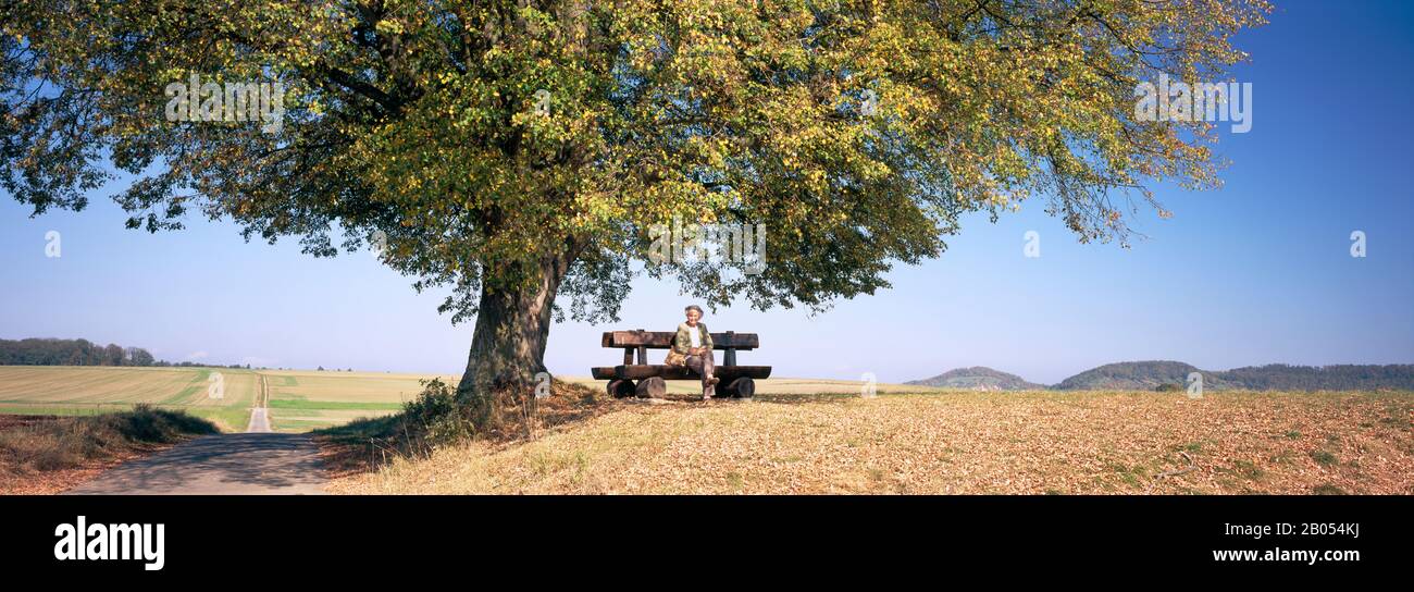 Woman sitting on a bench under a tree, Baden-Wurttemberg, Germany Stock Photo