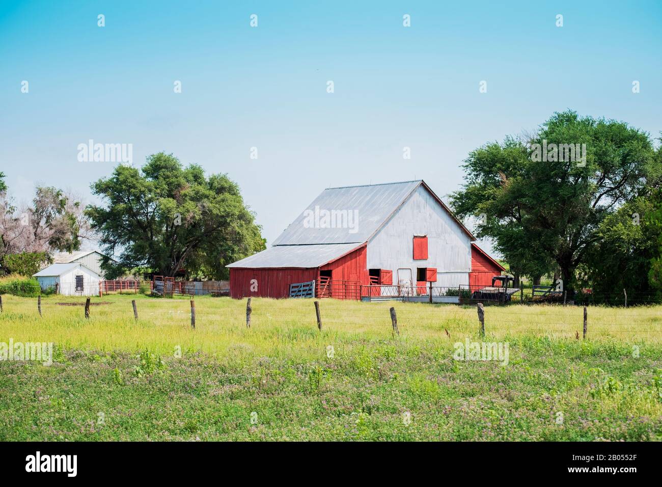 Kansas farm buildings, barbed wire fence, and henbit, Lamium amplexicaule infested pasture, a common weed. USA Stock Photo