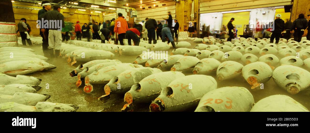 Tokyo tsukiji fish market japan hi-res stock photography and images - Alamy