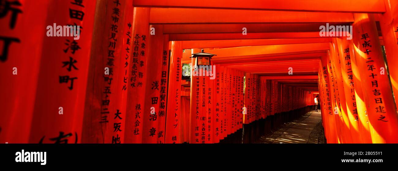 Torii gates of a shrine, Fushimi Inari-Taisha, Fushimi Ward, Kyoto, Kyoto Prefecture, Kinki Region, Honshu, Japan Stock Photo