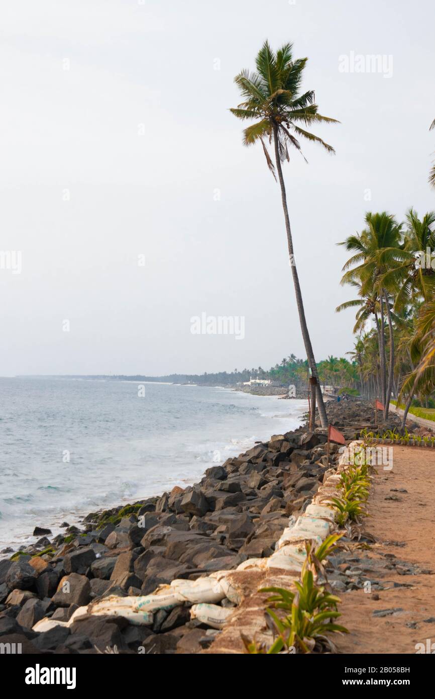 Trees And The Sky Go Hand In Hand When You Look Up At A Tree Almost Always You See The Sky Stock Photo Alamy