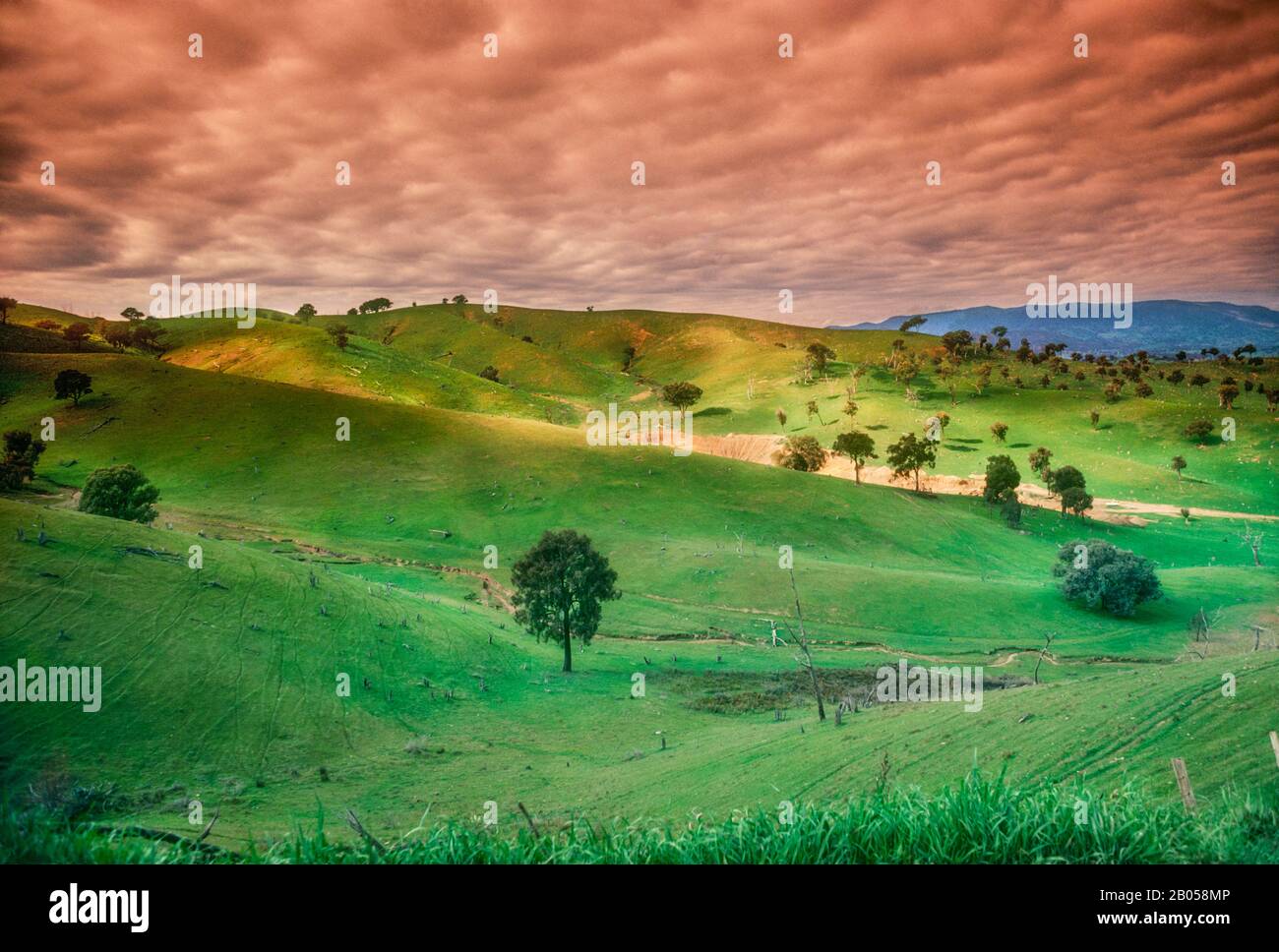 Rolling hills of Tumut New South Wales, Australia, Tumut, town, southeastern New South Wales, Australia. It lies along the Tumut River, at the norther Stock Photo