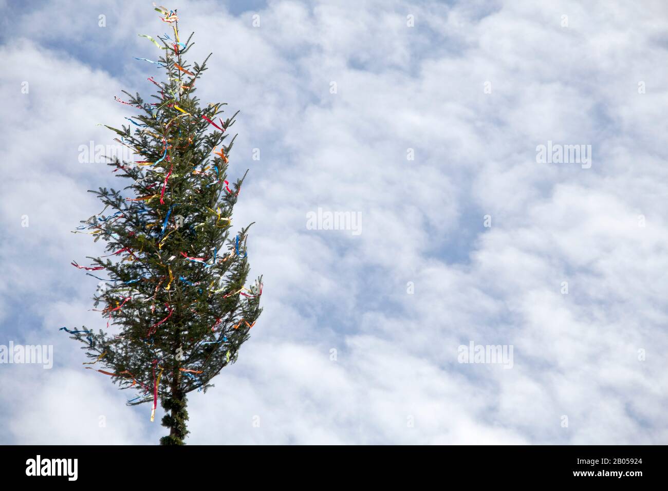 maypole in germany. Traditional decorated may tree with blue sky Stock Photo