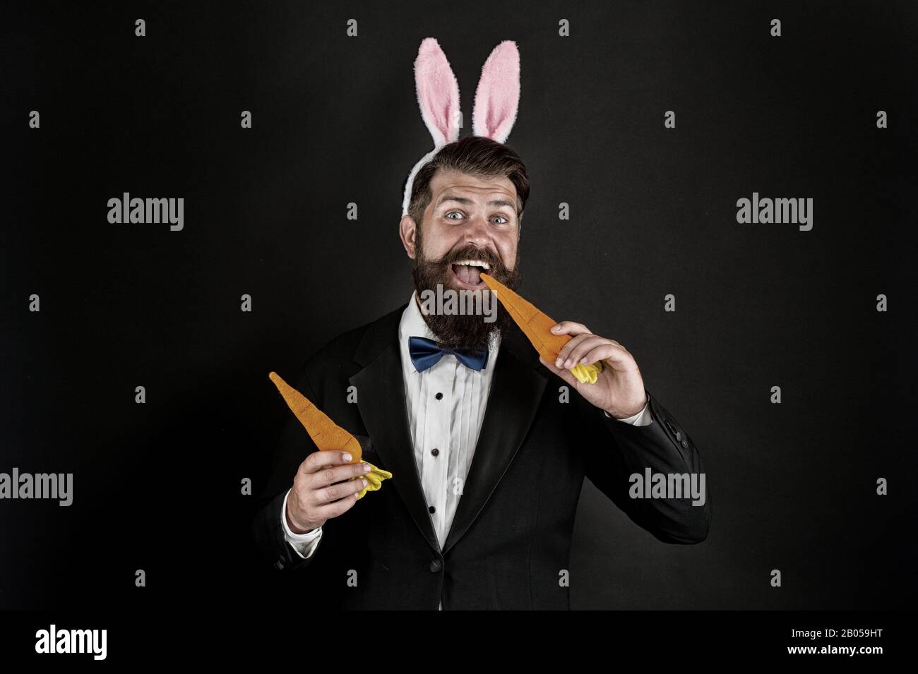 Here comes Easter bunny. Bearded man with bunny ears eat carrots. Bunny