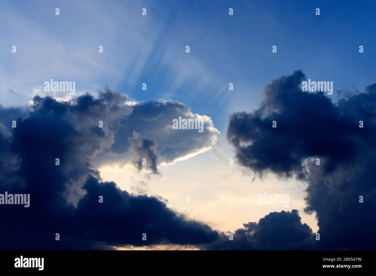 clouds in the sky with animal shapes Stock Photo - Alamy