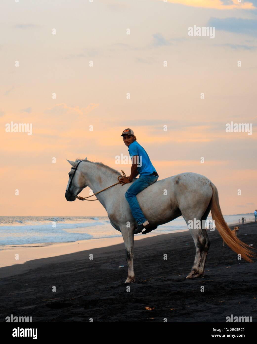 Horse beach sunset man hires stock photography and images Alamy