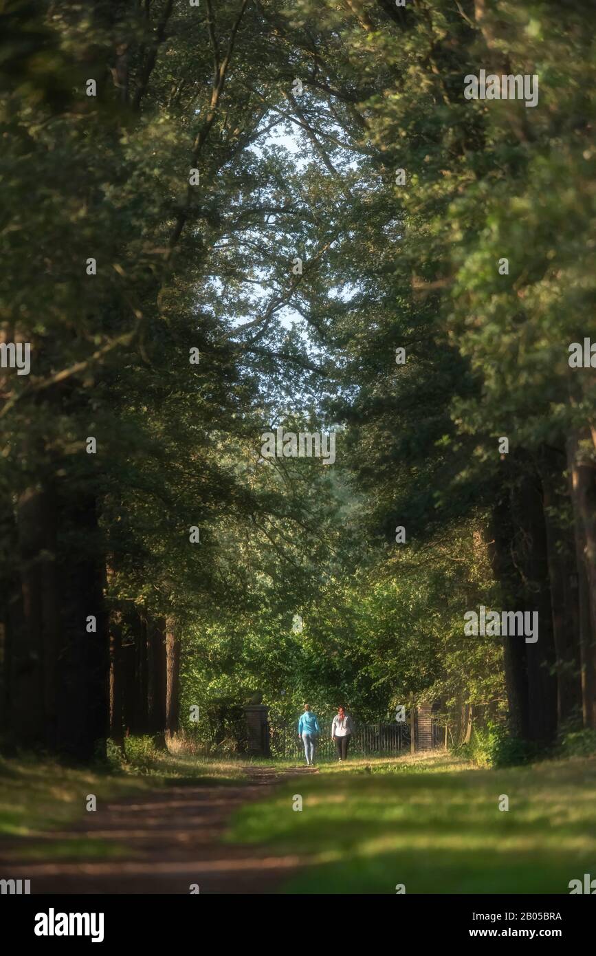 Two women on woodland path hi-res stock photography and images - Alamy