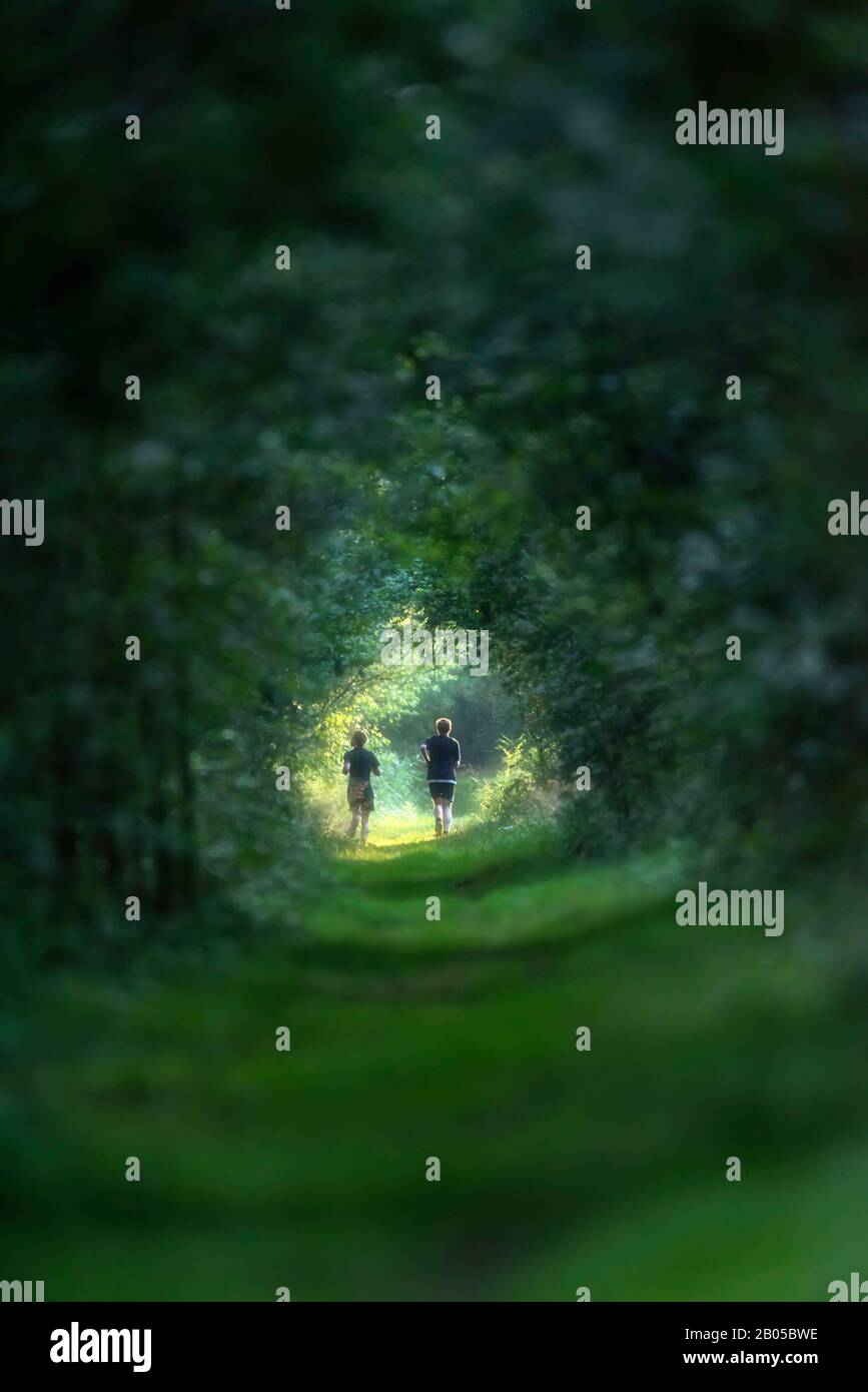 Two young men running on sunny forest path during summer. Stock Photo