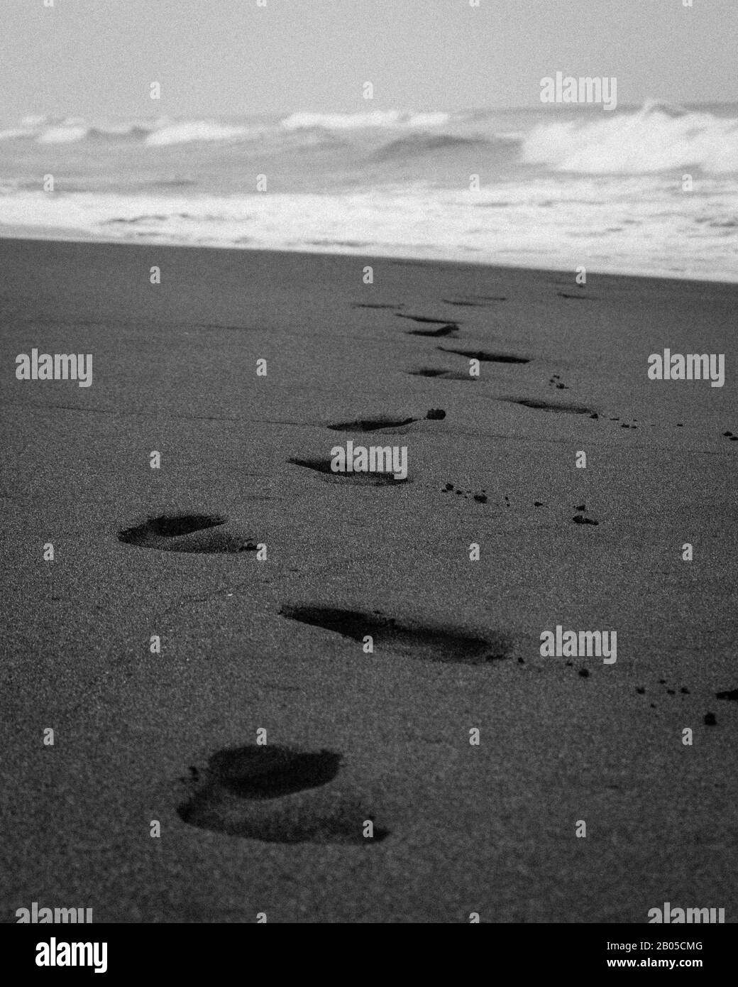 footprints on the beach in black and white Stock Photo