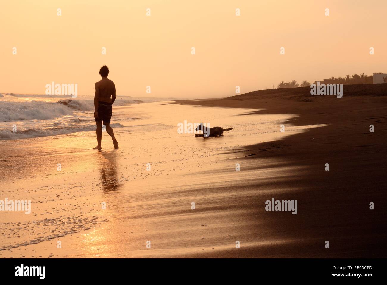 silhouette of a man and his dog walking on the beach during sunsuet ...
