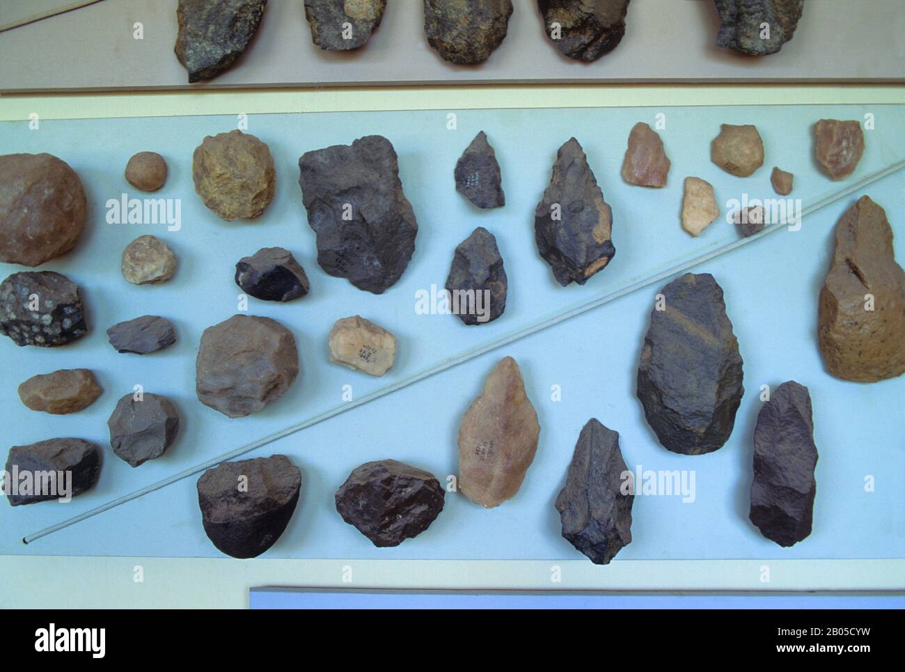 https://c8.alamy.com/comp/2B05CYW/these-olduvai-stone-chopping-tools-on-display-in-the-olduvai-gorge-museum-are-one-of-the-oldest-humanly-made-objects-the-olduvai-gorge-is-one-of-the-2B05CYW.jpg