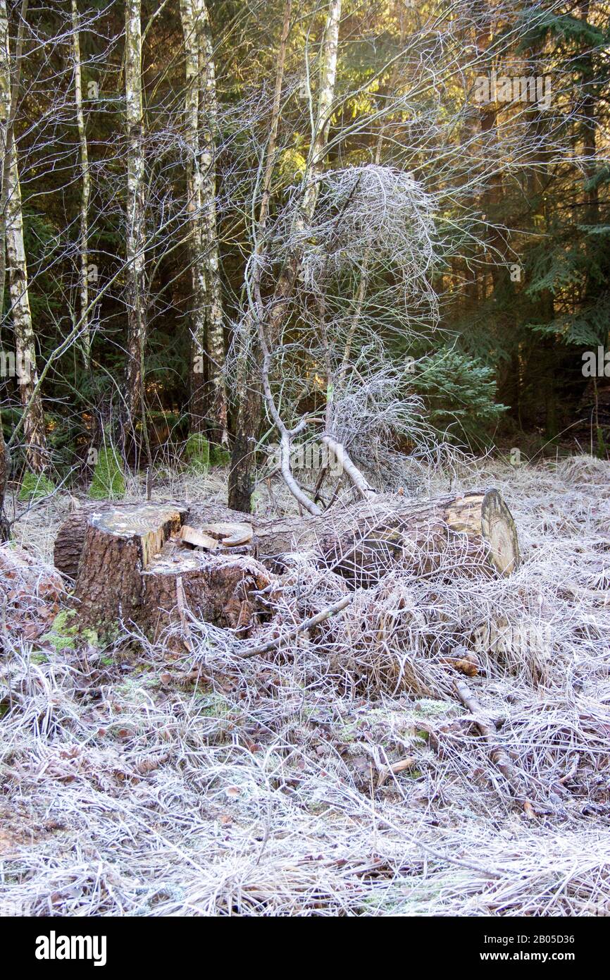 Rough frost hi-res stock photography and images - Alamy