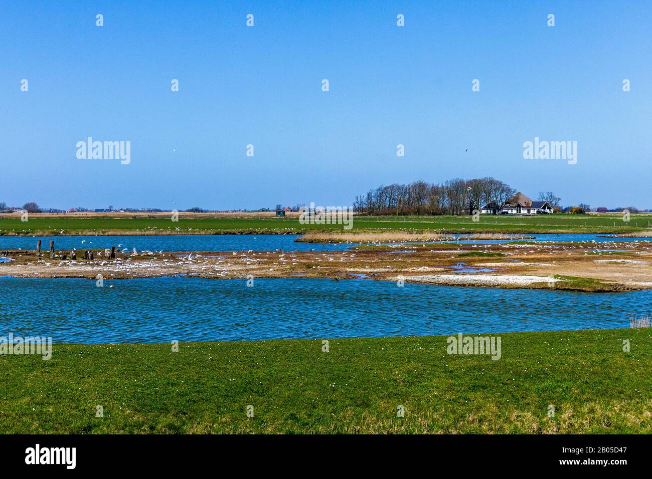 bird sanctuary Ottersaat, Netherlands, Texel Stock Photo