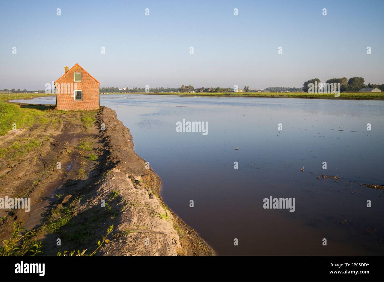 shed standing at waterside, Netherlands, South Holland, Elsgeesterpolder Stock Photo