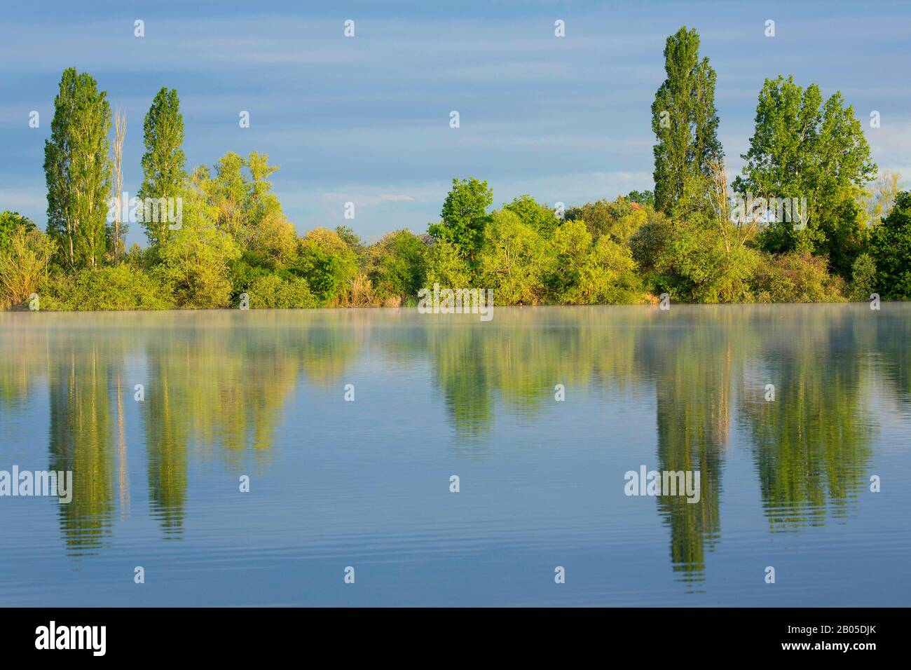 lake in the Parc naturel régional de la Brenne, France, Indre, La Brenne Stock Photo