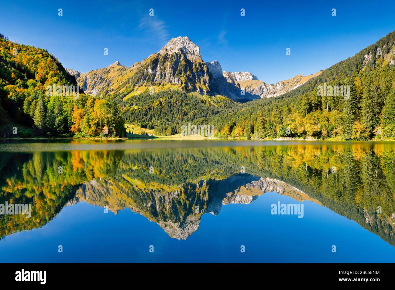 lake Obersee and Bruennelistock in autumn, Switzerland, Glarner Alpen, Glarus Stock Photo