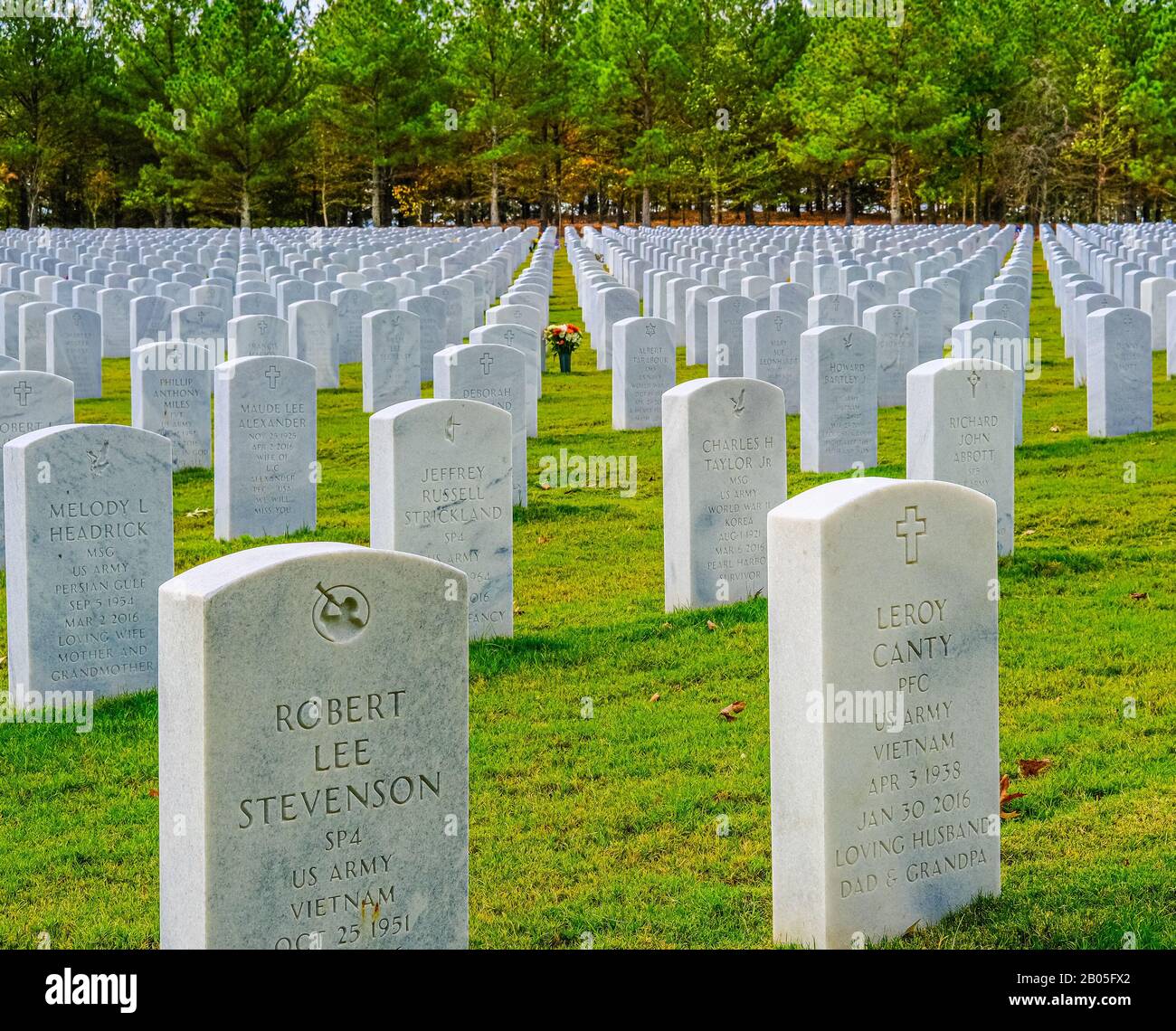 Vietnam Veteran Gaves Stock Photo - Alamy