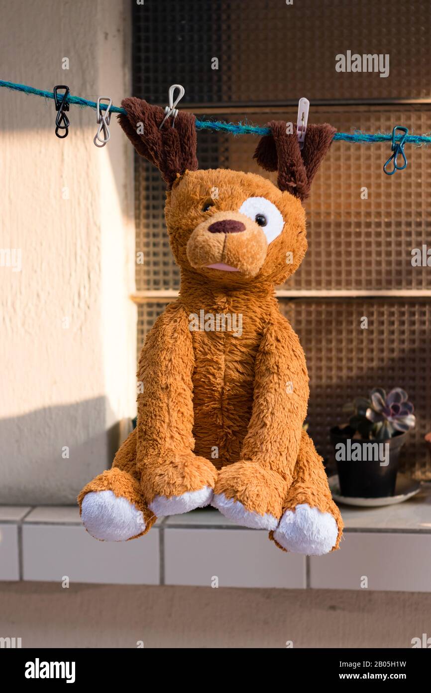 stuffed animal toy drying at the sun Stock Photo Alamy