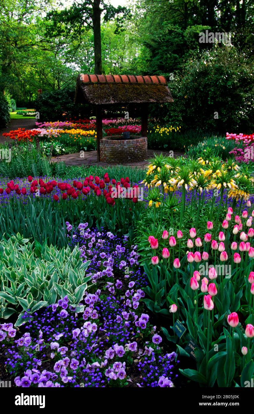 NETHERLANDS, HOLLAND, NEAR AMSTERDAM, KEUKENHOF GARDENS, TULIPS, FRITILLARIA, PANSIES Stock Photo