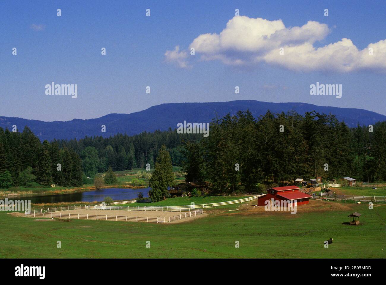 USA, WASHINGTON, SAN JUAN ISLANDS, ORCAS ISLAND, LANDSCAPE WITH FARM Stock Photo