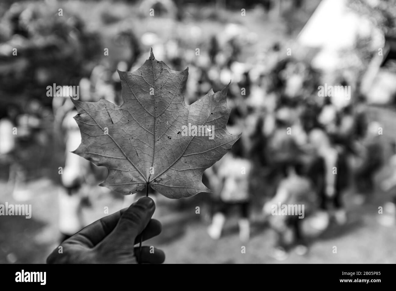 A selective focus monochrome shot on a person holding a fallen leaf, against a blurry background of a group of people meditating during earth festival Stock Photo