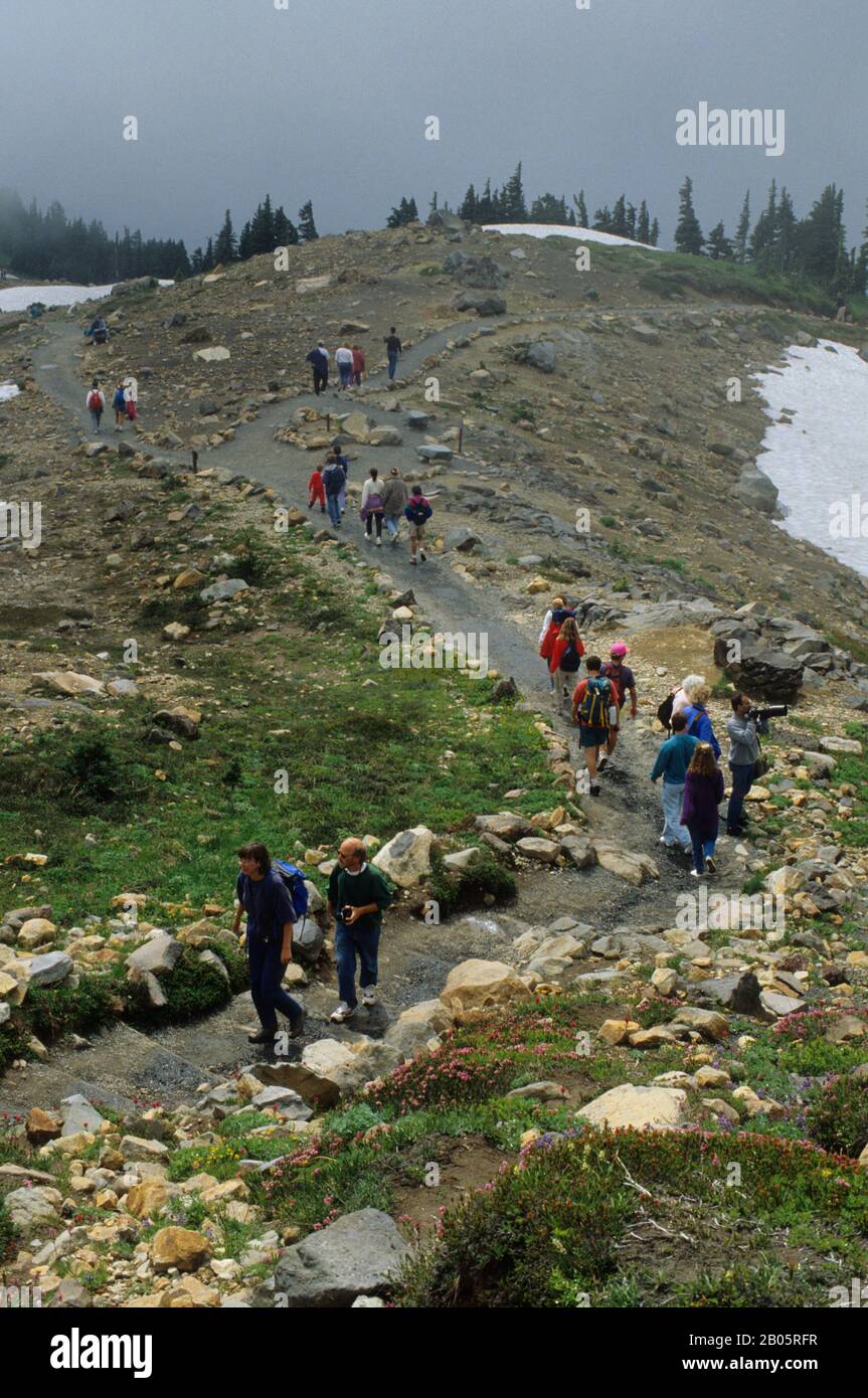 USA, WASHINGTON,MT RAINIER NATIONAL PARK, PARADISE, CROWDED TRAIL Stock