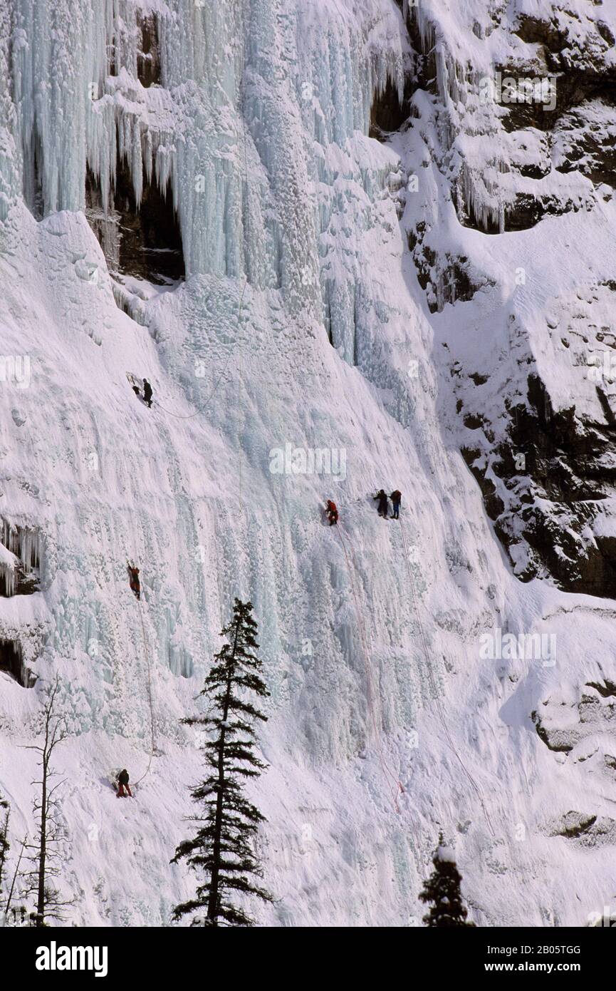 CANADA, CANADIAN ROCKIES, ALBERTA, BANFF N.P., ICEFIELDS PARKWAY ...