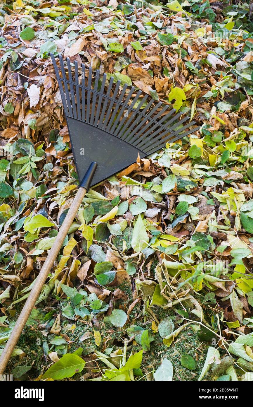 Leaf rake hi-res stock photography and images - Alamy