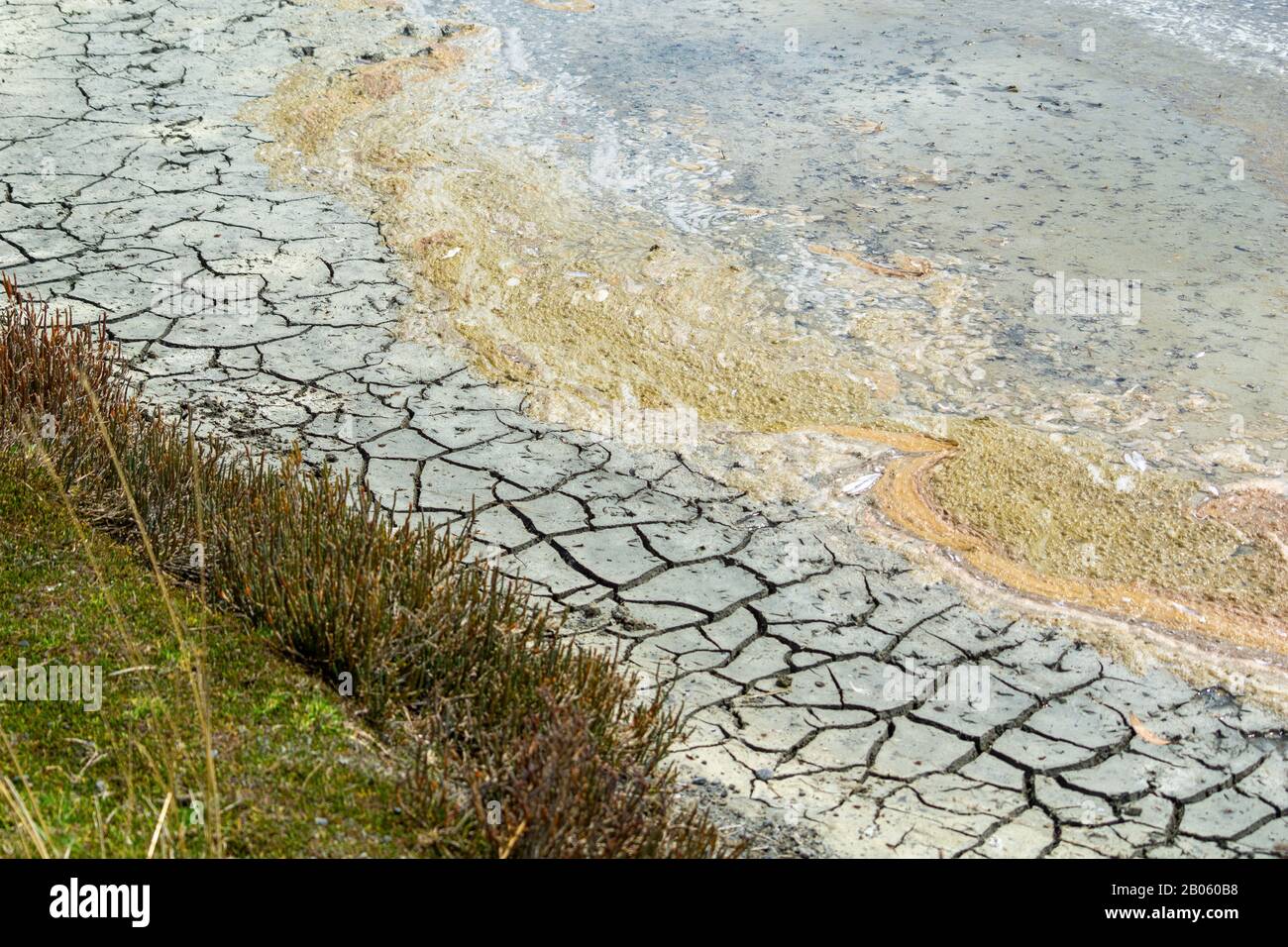 Dry weather and drought conditions occur the land in salt marsh