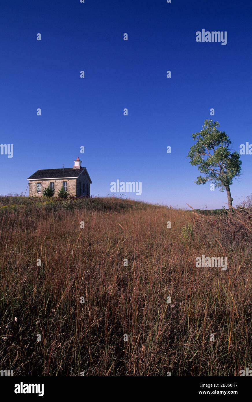 USA, KANSAS, FLINT HILLS, NEAR STRONG CITY, TALLGRASS PRAIRIE NATIONAL