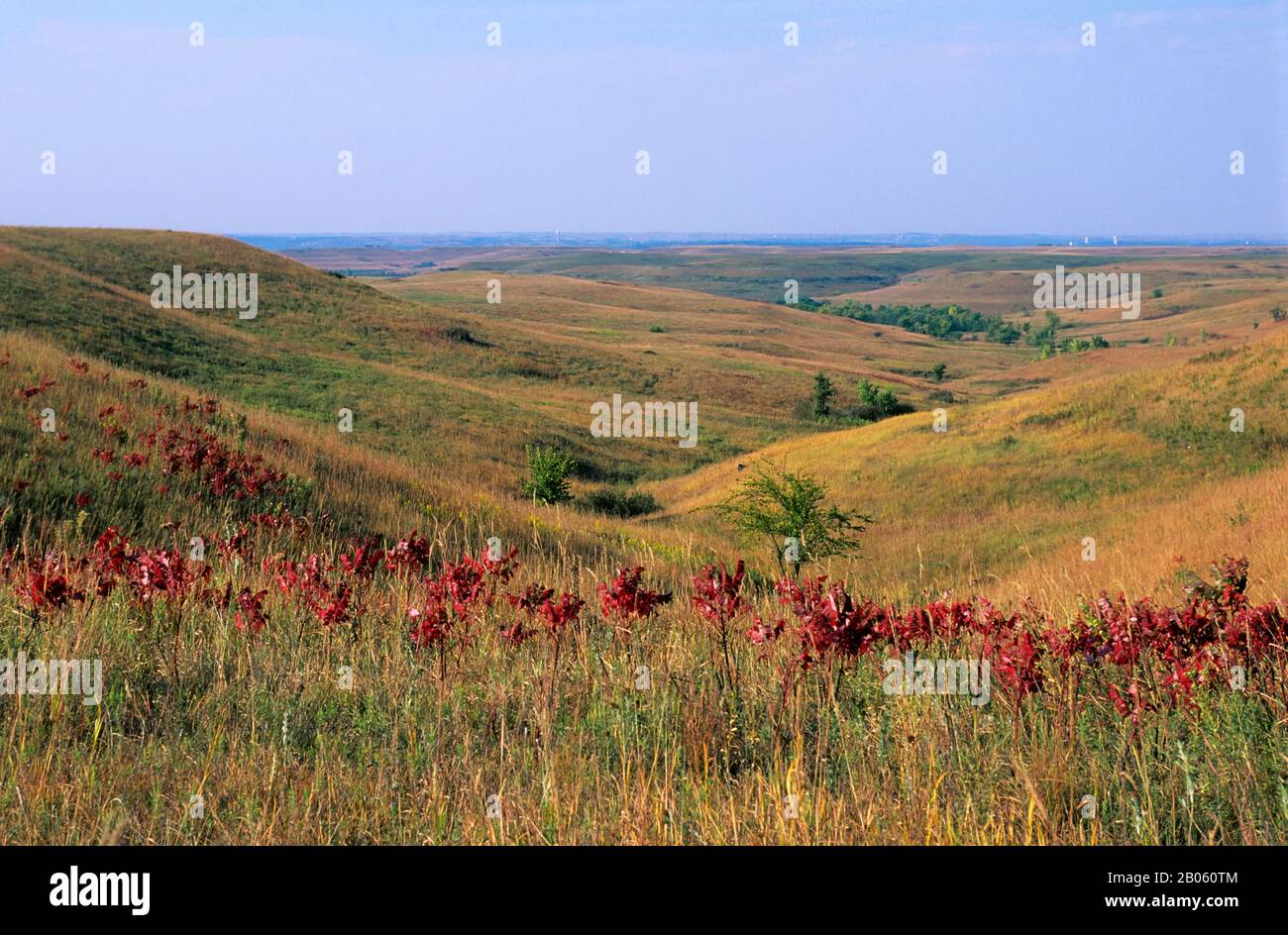 USA, KANSAS, MANHATTAN, KONZA PRAIRIE RESEARCH NATURAL AREA, LANDSCAPE
