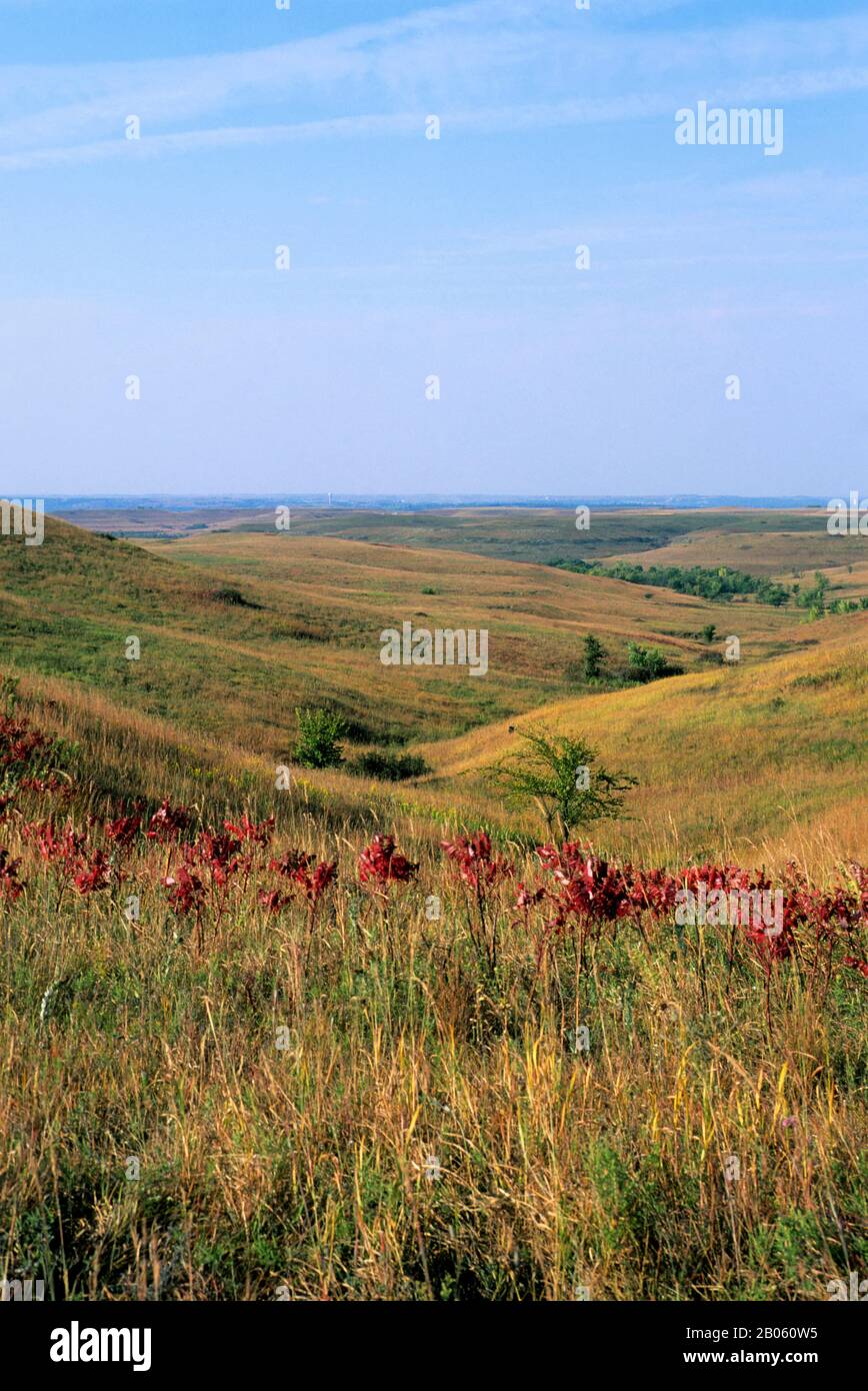 USA, KANSAS, MANHATTAN, KONZA PRAIRIE RESEARCH NATURAL AREA, LANDSCAPE