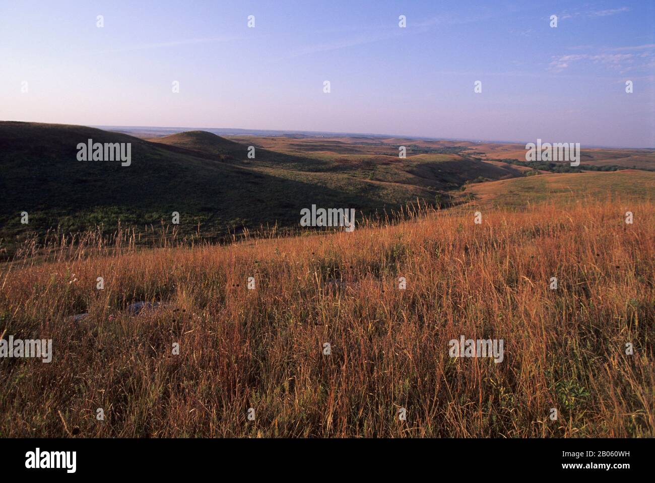 USA, KANSAS, MANHATTAN, KONZA PRAIRIE RESEARCH NATURAL AREA, LANDSCAPE