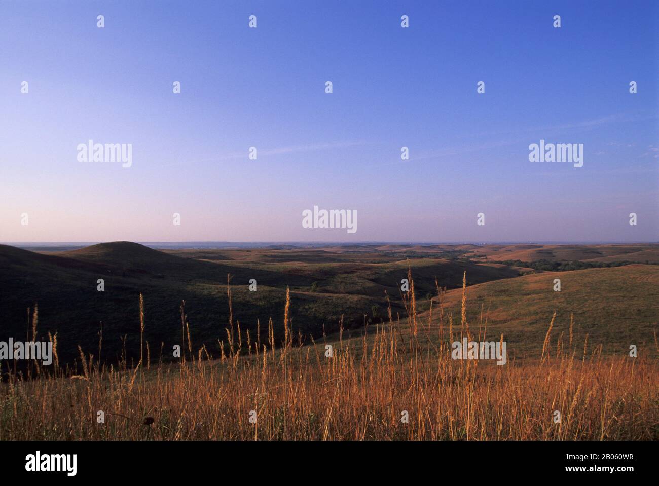 USA, KANSAS, MANHATTAN, KONZA PRAIRIE RESEARCH NATURAL AREA, LANDSCAPE