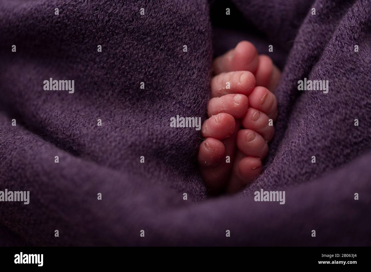 Adding together the feet of a newborn baby wrapped in a purple towel