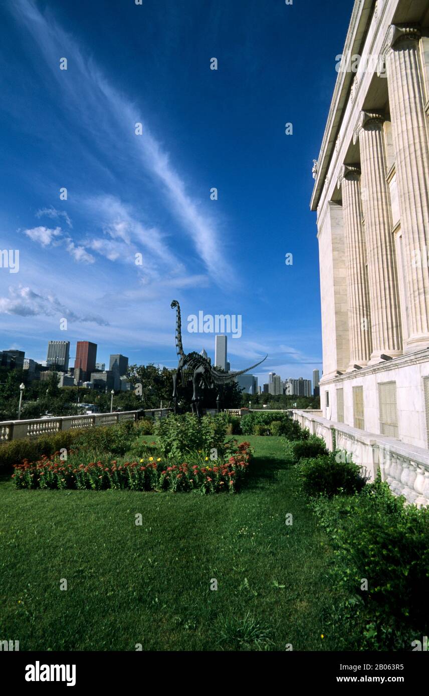 USA, ILLINOIS, CHICAGO, FIELD MUSEUM OF NATURAL HISTORY, VIEW OF