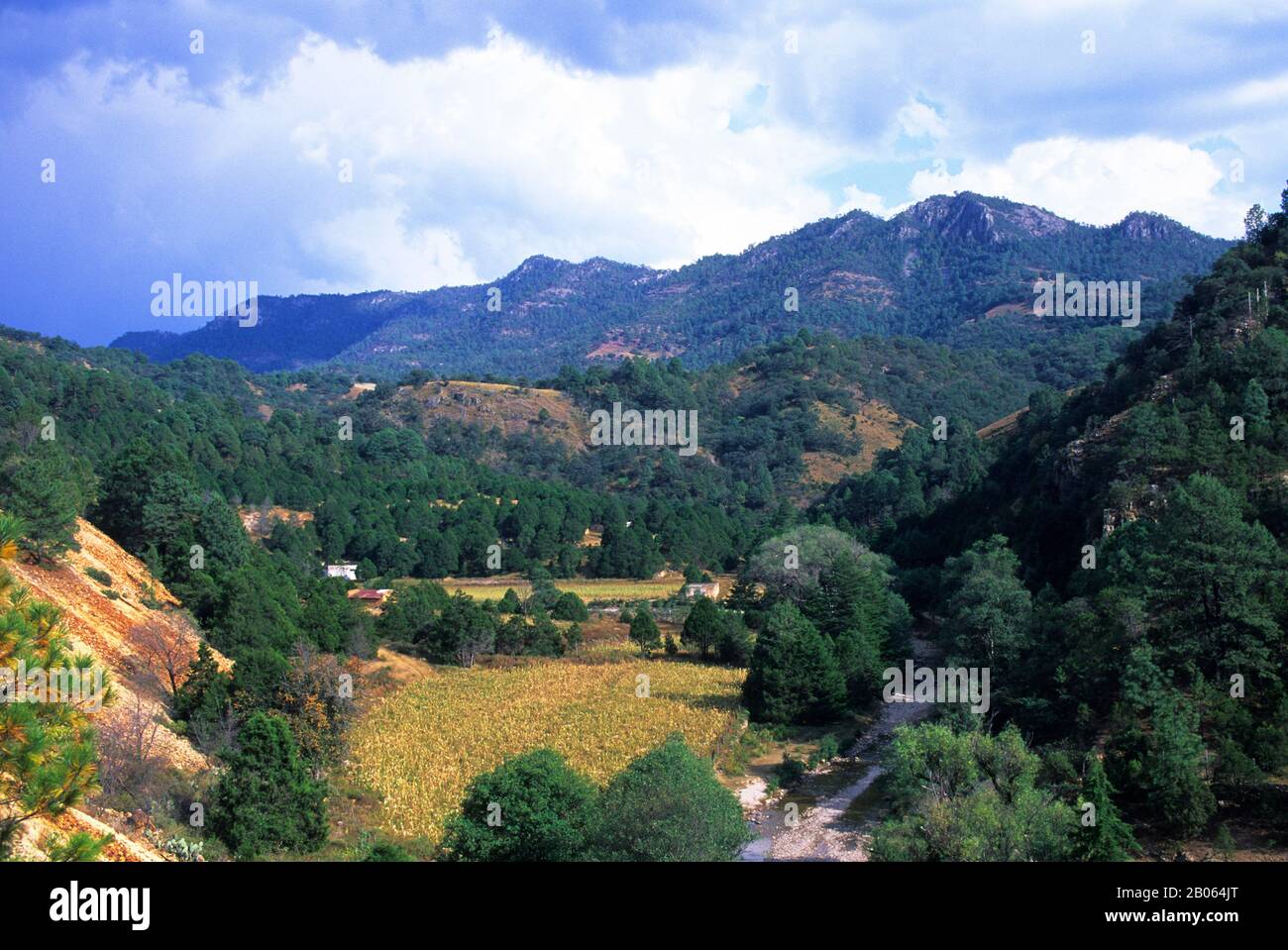 MEXICO, CHIHUAHUA, COPPER CANYON NATIONAL PARK, COPPER CANYON TRAIN