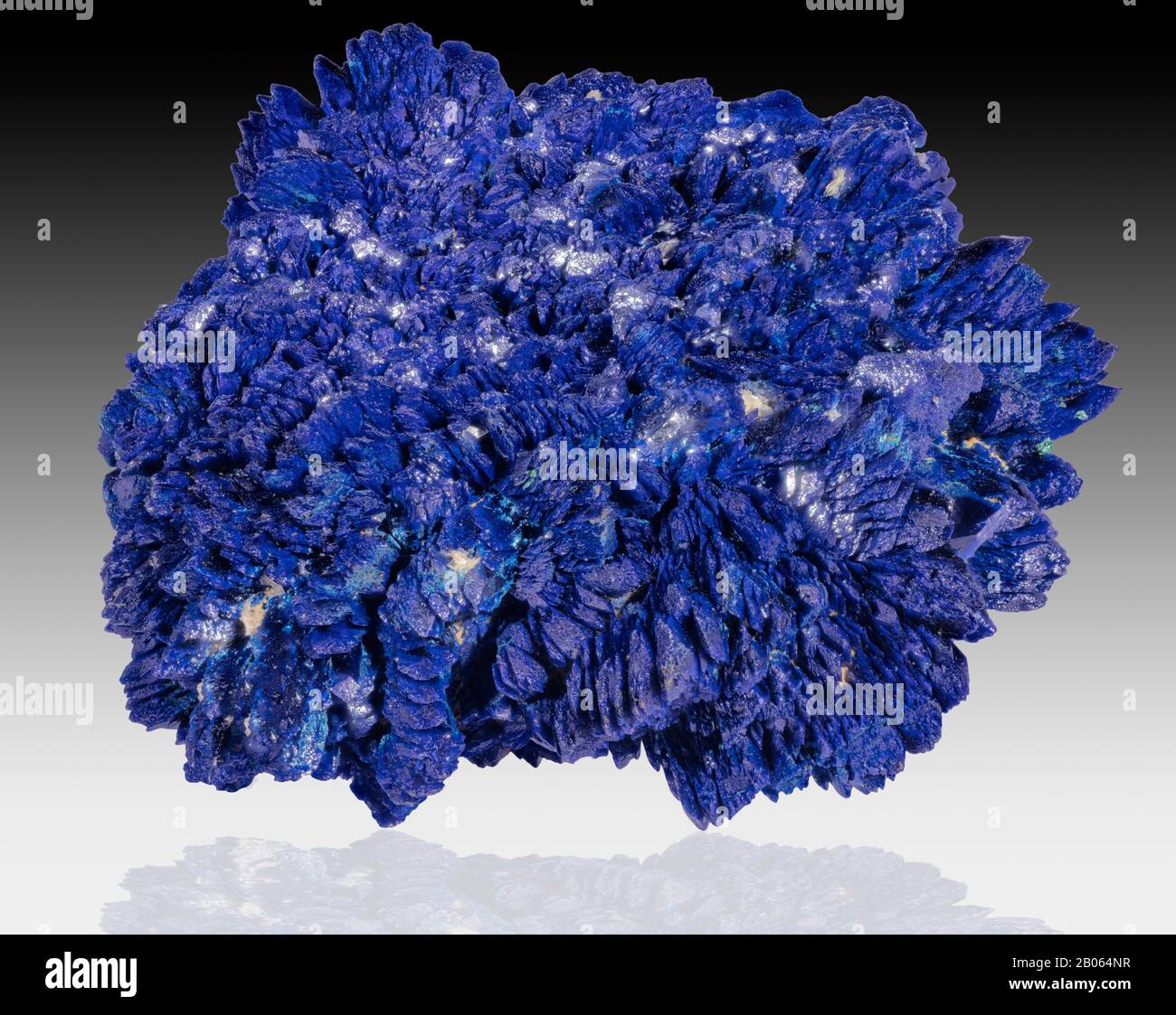 Azurite is a soft stone, named for its deep “azure blue” color. It is a copper carbonate mineral found in the upper oxidized portions of copper ore fo Stock Photo