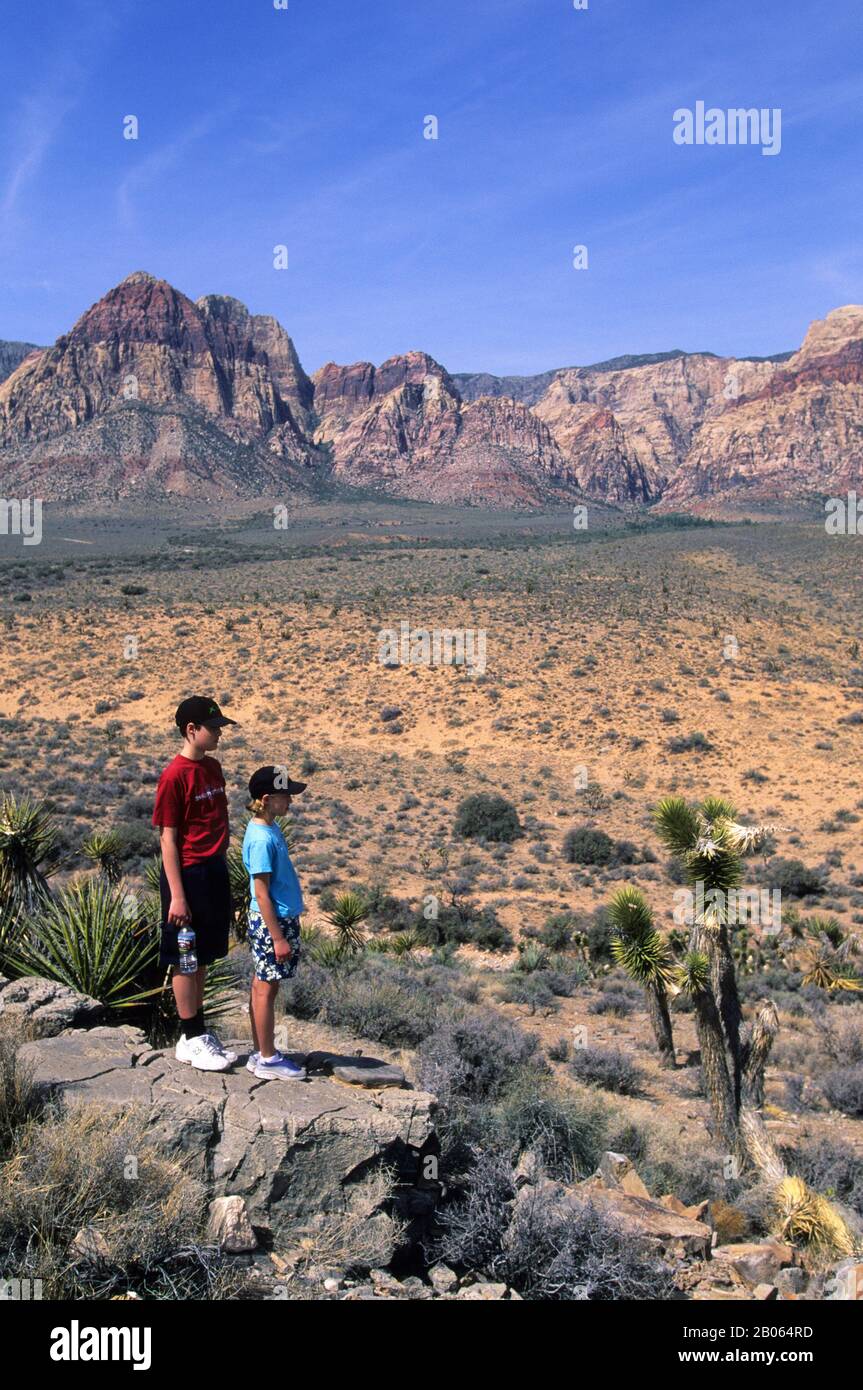 USA, NEVADA, MOJAVE DESERT, RED ROCK CANYON NATIONAL CONSERVATION AREA, CHILDREN, MODEL RELEASED ...
