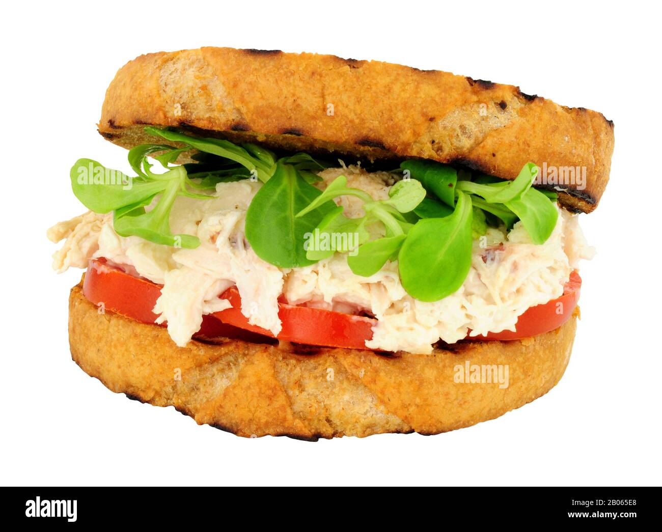 Chicken and mayonnaise sandwich with tomato and watercress isolated on