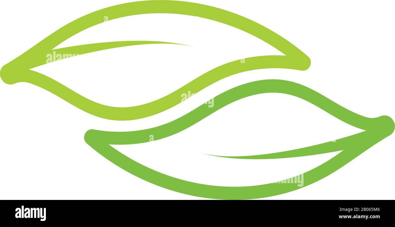 linked curves leaf nature symbol logo vector Stock Vector