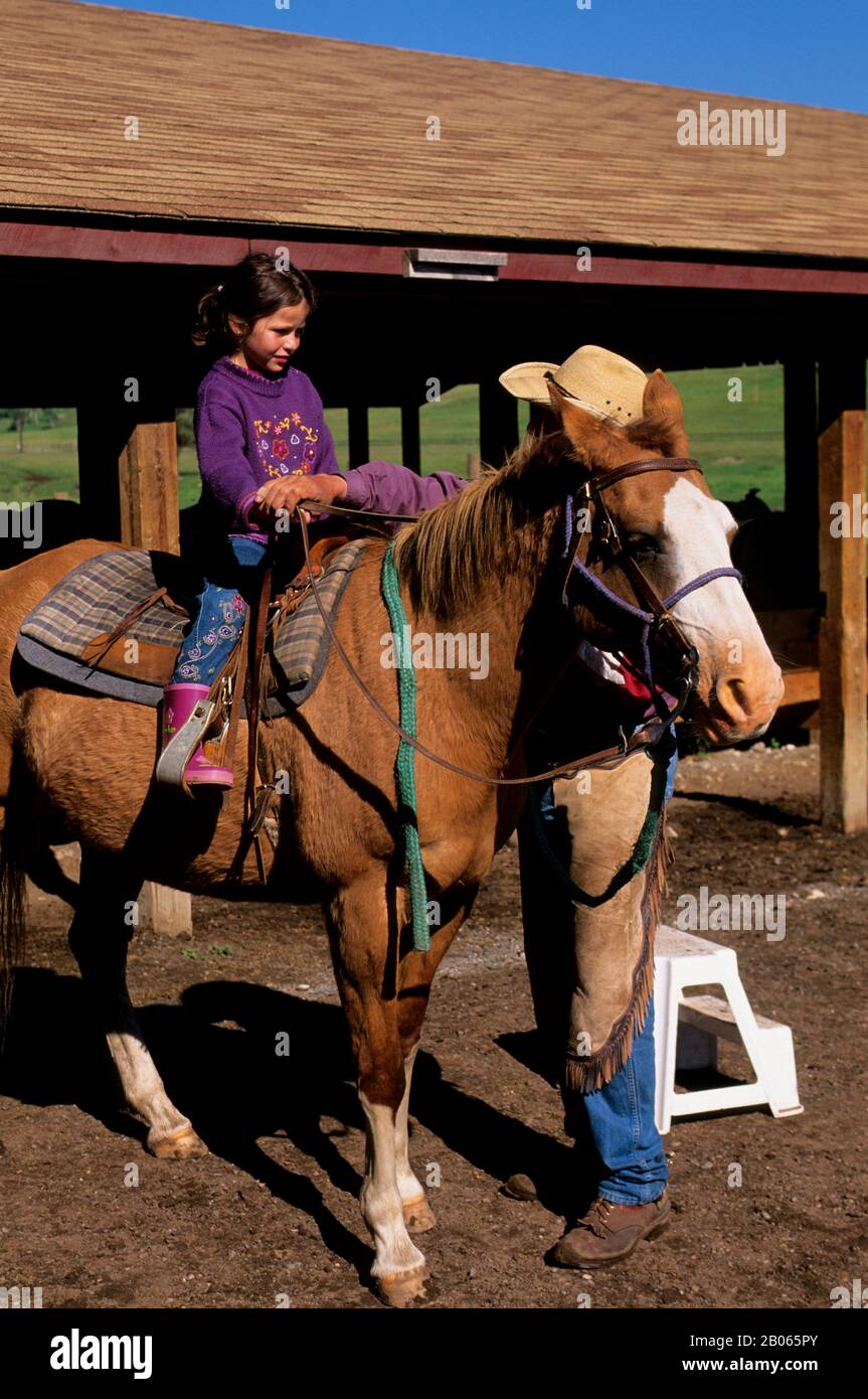 CANADA, ALBERTA, NEAR CALGARY, BAR C RANCH RESORT, HORSE STABLES, GIRL