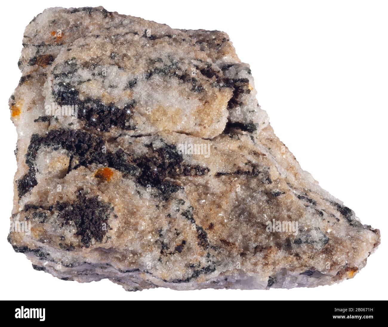 Edenite, Metamorphic, Estrie, Quebec Edenite is a double chain silicate mineral of the amphibole group. Stock Photo